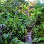 Three Great Ways to Enjoy St. Louis this Winter