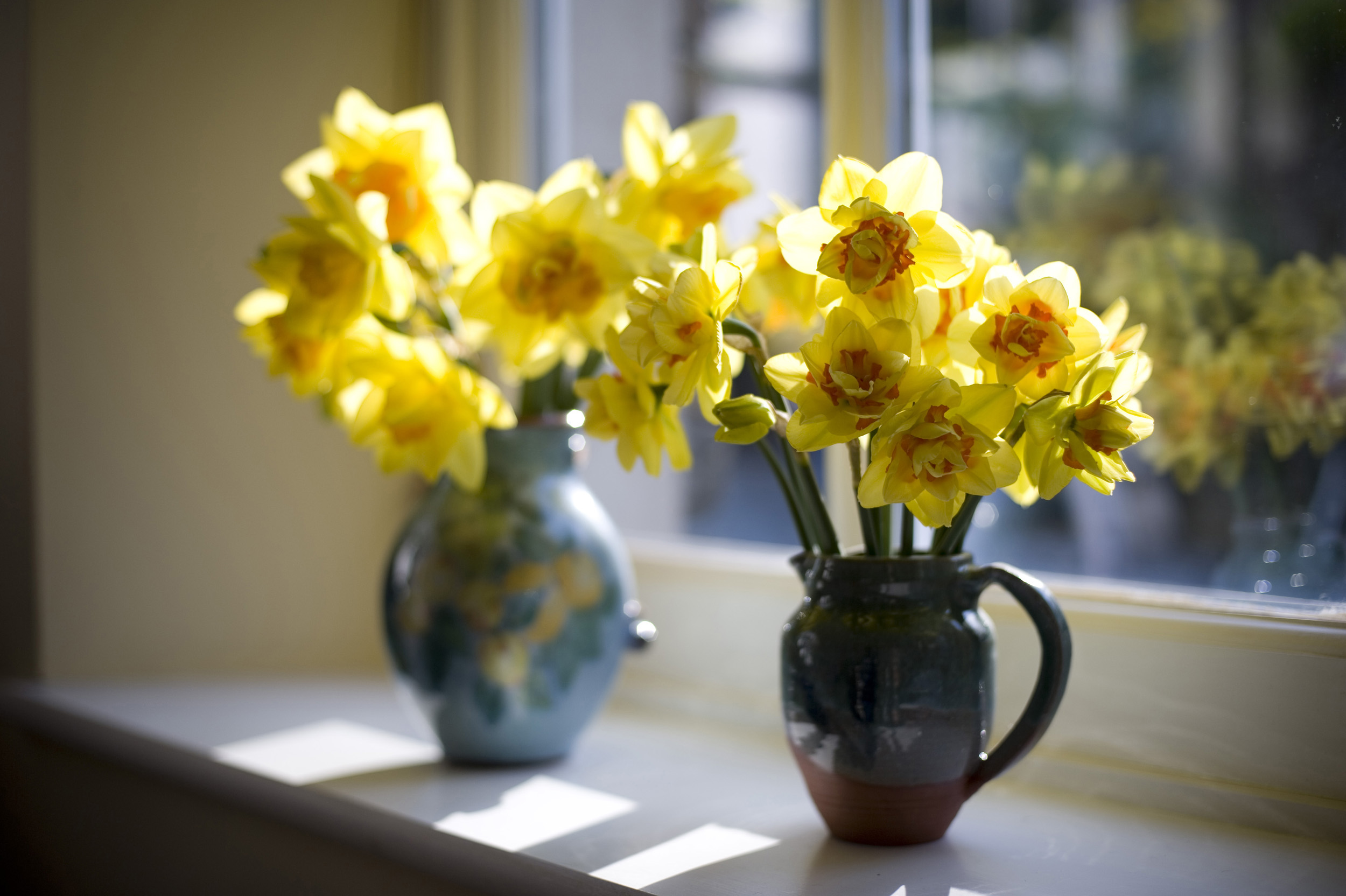 4 Ways to Bring the Beauty of Spring Indoors