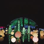 The Top 5 Winter Wonderland Festivities in St Louis